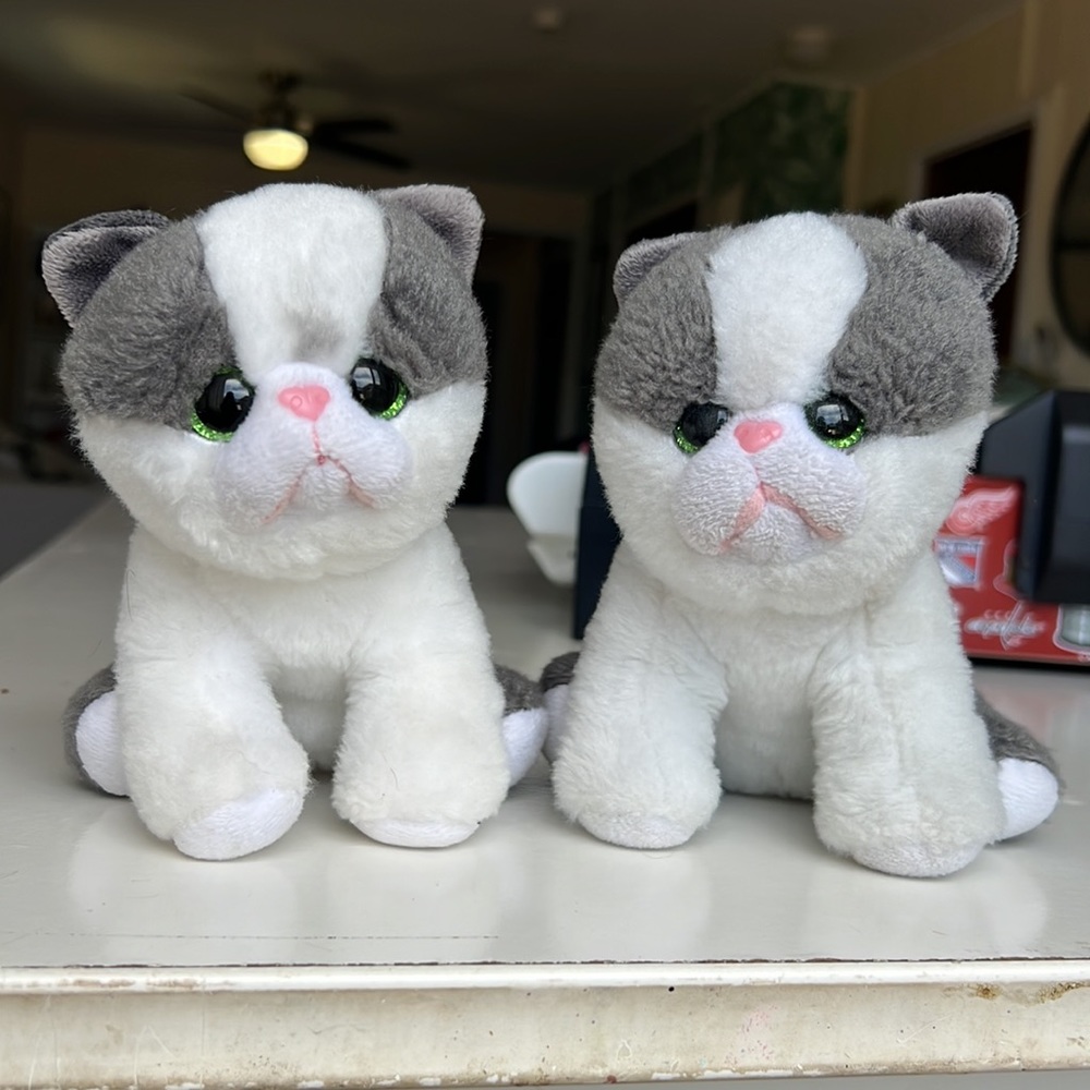 GIFTED Lot Ty Beanies Babies YANG Plush 6" Kitty Cat Kitten Stuffed Animal Gray - Picture 2 of 14